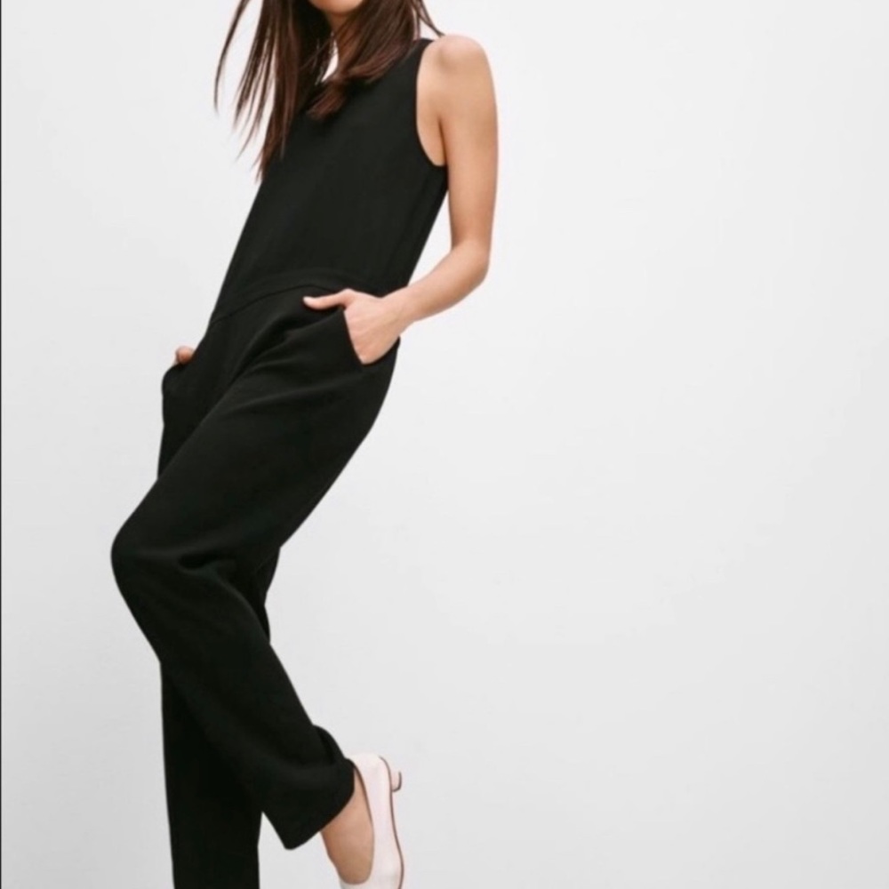 Aritzia Babaton Branson Jumpsuit